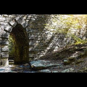 Meet your Posher, Shane